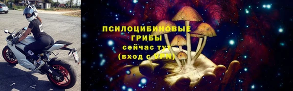 гидра Новокубанск