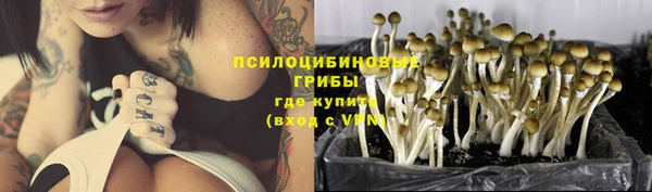 экстази Новодвинск