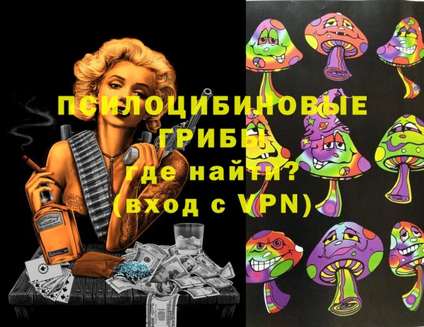гидра Новокубанск