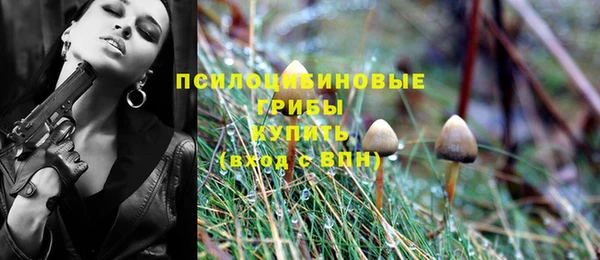 ECSTASY Новозыбков