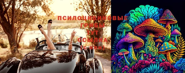 экстази Новодвинск