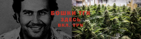 экстази Новодвинск