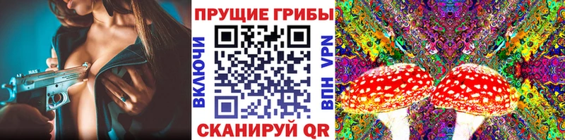 продажа наркотиков  блэк спрут рабочий сайт  Галлюциногенные грибы мухоморы  Октябрьский 